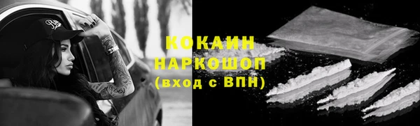 ешки Алексеевка