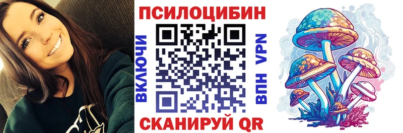 сколько стоит  Щёлкино  Галлюциногенные грибы Psilocybe 